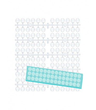 MOSTRARIO ADHESIVO para TAPÓN ESMALTE